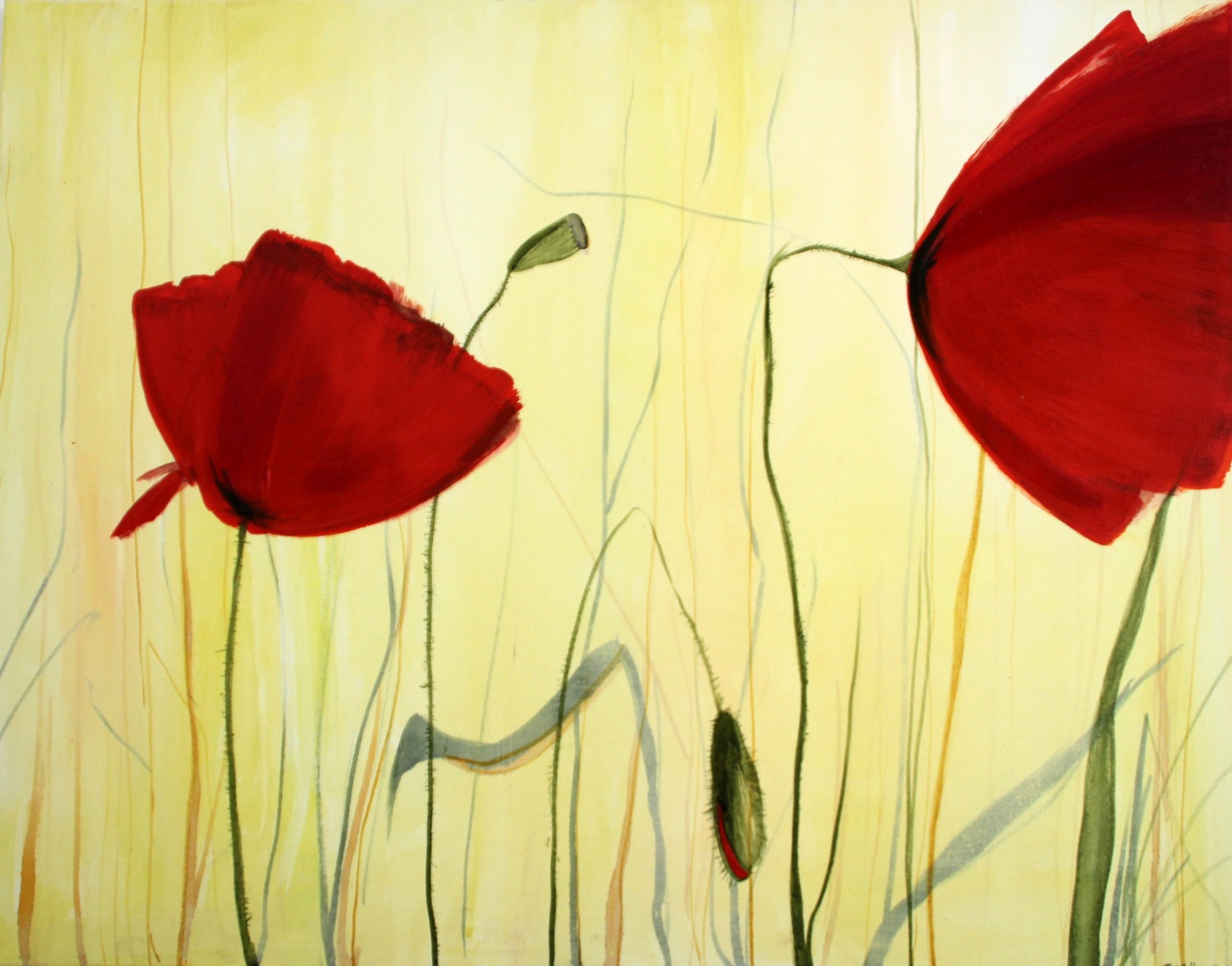 Flora 28